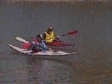 Eskimoknns, gif animaatio 175kb